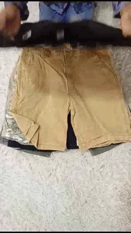 Vintage Carhartt Shorts-13 pieces